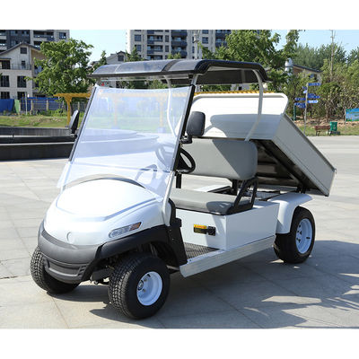 Suporte OEM Carrinho de golfe elétrico com cama traseira de cesta e 2 4 6 veículos utilitários de passageiros Buggy