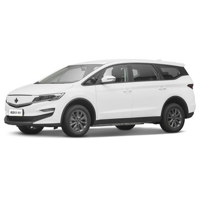 Bom preço. 2023 Luxo 4 lugares Carro Elétrico Lifan Maple Leaf 80v Veículo de Energia para Adultos 139L Volume do compartimento de bagagem on-line