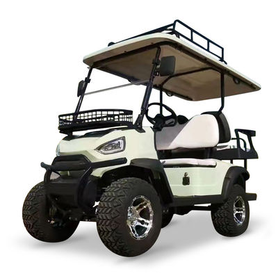 Bom preço. Caminhões utilitários com 2 passageiros e 48V 5KW motor AC viagem carro de golfe posição de pé de cauda carrinho velocidade máxima ≤30Km/h on-line