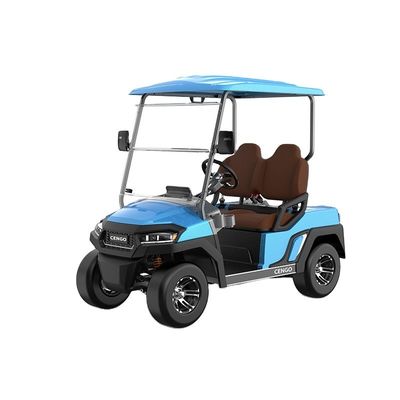 Bom preço. Buggy de golfe elétrico de 2 lugares perfeito para família e caça na praia on-line