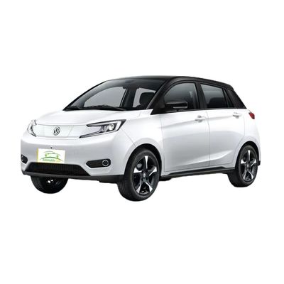 Bom preço. Modelo 2023 Pure Electric Car YOUNG 302km Range 0,5h Carregamento rápido 4 lugares Peso de carga total 1080KG Potência máxima 35 100km/h on-line