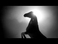 Veículo da gasolina