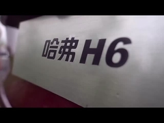 High Speed HAVAL H6 2023 SUV compacto A escolha final para o mercado de veículos a combustível